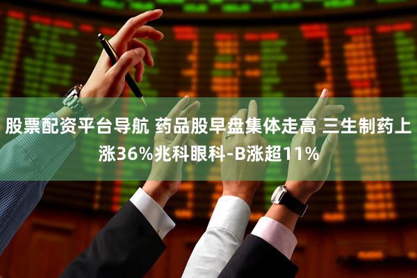 股票配资平台导航 药品股早盘集体走高 三生制药上涨36%兆科眼科-B涨超11%