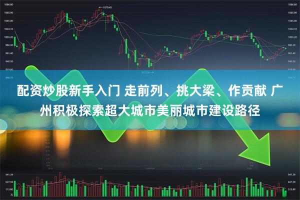 配资炒股新手入门 走前列、挑大梁、作贡献 广州积极探索超大城市美丽城市建设路径