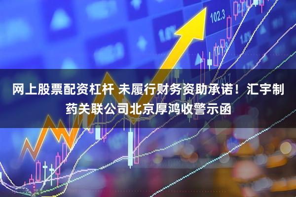 网上股票配资杠杆 未履行财务资助承诺！汇宇制药关联公司北京厚鸿收警示函