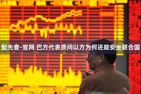 配先查-官网 巴方代表质问以方为何还能安坐联合国